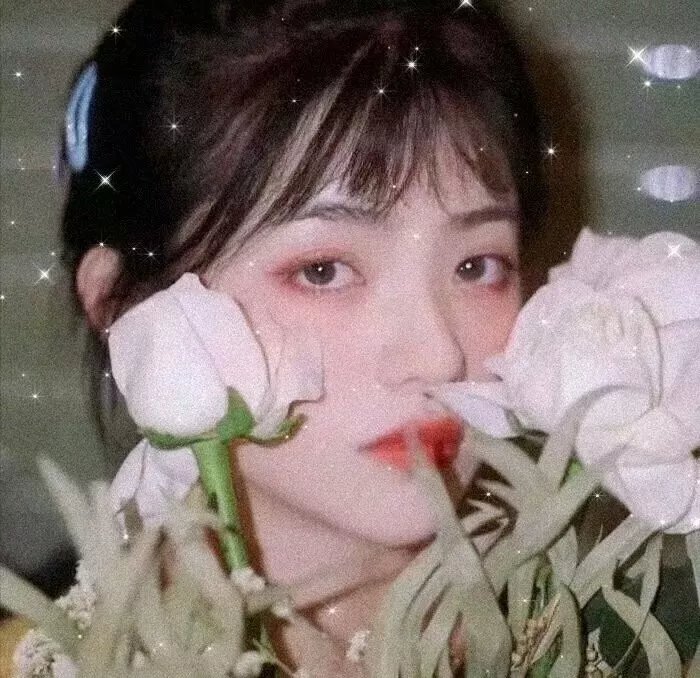 血夜花 海报